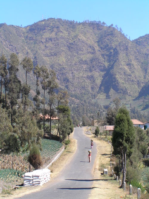 2005_indonesiatrip_192_2